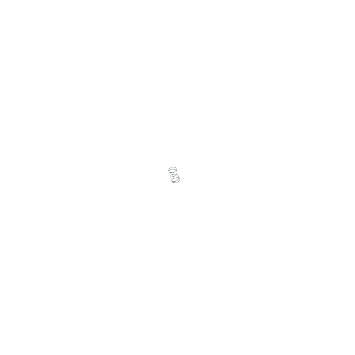 DCI 9674 Syringe Spring, SST, 180 OD x .012 WD x .31 FL